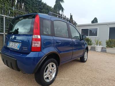 Fiat Panda 4x4 Climbing Blu/Azzurro usata Altamura