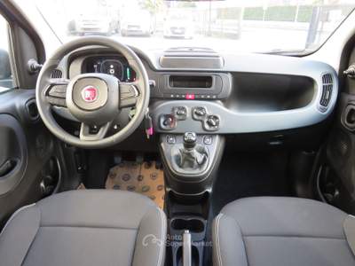 Fiat Pandina 1.0 FireFly 65cv S&S 6m Hybrid Pop Blu/Azzurro usata Seregno