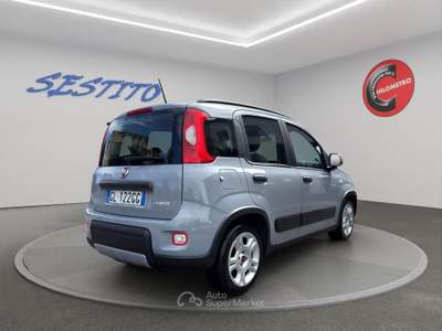 Fiat Panda 1.0 FireFly S&S Hybrid City Life Grigio usata Cirò Marina