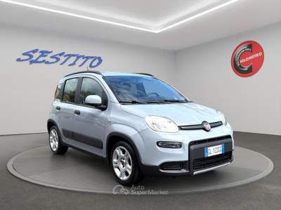 Fiat Panda 1.0 FireFly S&S Hybrid City Life Grigio usata Cirò Marina