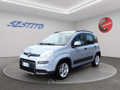 Fiat Panda 1.0 FireFly S&S Hybrid City Life Grigio usata Cirò Marina