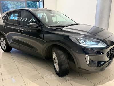 Ford Kuga EcoBlue 120 CV aut. 2WD Connect Nero usata ALTAMURA
