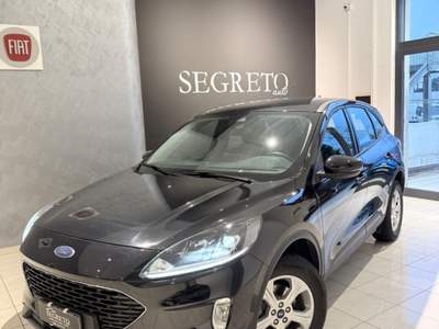 Ford Kuga EcoBlue 120 CV aut. 2WD Connect Nero usata ALTAMURA