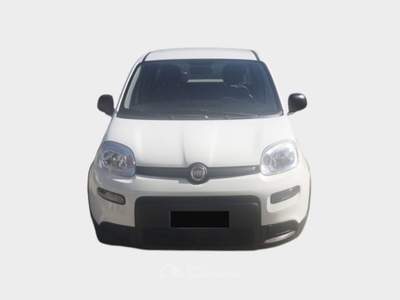 Fiat Panda FireFly S&S Hybrid City Life Blu/Azzurro usata Pisa