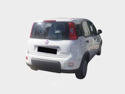 Fiat Panda FireFly S&S Hybrid City Life Blu/Azzurro usata Pisa
