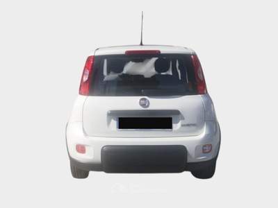 Fiat Panda FireFly S&S Hybrid City Life Blu/Azzurro usata Pisa
