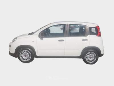 Fiat Panda FireFly S&S Hybrid City Life Blu/Azzurro usata Pisa