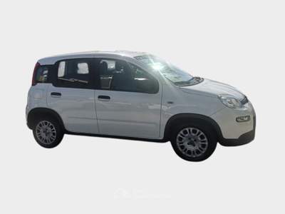 Fiat Panda FireFly S&S Hybrid City Life Blu/Azzurro usata Pisa