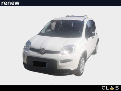 Fiat Panda FireFly S&S Hybrid City Life Blu/Azzurro usata Pisa