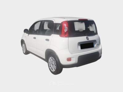 Fiat Panda FireFly S&S Hybrid City Life Blu/Azzurro usata Pisa