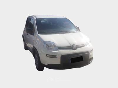 Fiat Panda FireFly S&S Hybrid City Life Blu/Azzurro usata Pisa