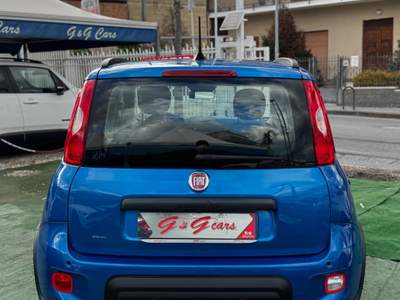 Fiat Panda FireFly S&S Hybrid Pandina Blu/Azzurro usata SOMMA VESUVIANA