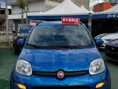 Fiat Panda FireFly S&S Hybrid Pandina Blu/Azzurro usata SOMMA VESUVIANA