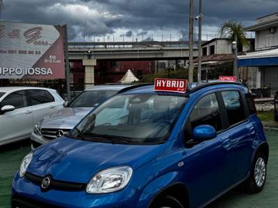 Fiat Panda FireFly S&S Hybrid Pandina Blu/Azzurro usata SOMMA VESUVIANA Fiat Panda FireFly S&S Hybrid Pandina Blu/Azzurro usata SOMMA VESUVIANA