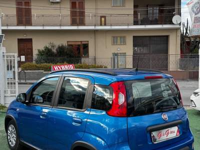 Fiat Panda FireFly S&S Hybrid Pandina Blu/Azzurro usata SOMMA VESUVIANA