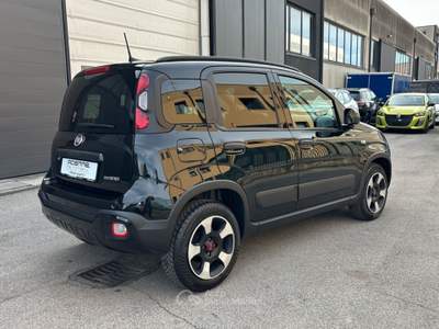 Fiat Panda 1.0 FireFly 70cv S&S Hybrid Cross Nero usata Rovigo