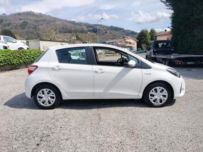 Toyota Yaris Hybrid Business Bianco usata Bagni di Lucca
