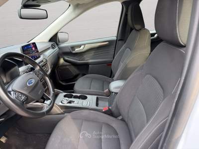 Ford Kuga 2.5 Plug In Hybrid 225 CV CVT 2WD Titanium Busines Bianco usata Imola