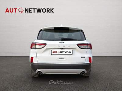 Ford Kuga 2.5 Plug In Hybrid 225 CV CVT 2WD Titanium Busines Bianco usata Imola