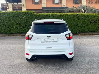 Ford Kuga 2.0 TDCI 150 CV S&S 4WD ST-Line Bianco usata Ala