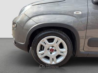 Fiat Panda FireFly S&S Hybrid Grigio usata Bologna
