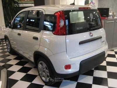 Fiat Panda 1.0 FIREFLY S-S HYBRID CITY LIFE Bianco usata Albissola Marina