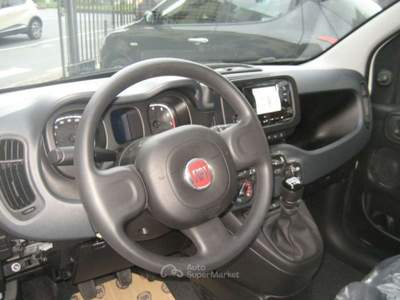 Fiat Panda 1.0 FIREFLY S-S HYBRID CITY LIFE Bianco usata Albissola Marina