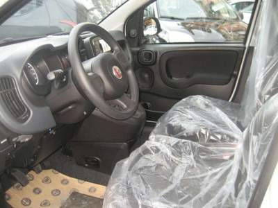 Fiat Panda 1.0 FIREFLY S-S HYBRID CITY LIFE Bianco usata Albissola Marina