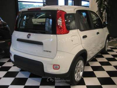 Fiat Panda 1.0 FIREFLY S-S HYBRID CITY LIFE Bianco usata Albissola Marina