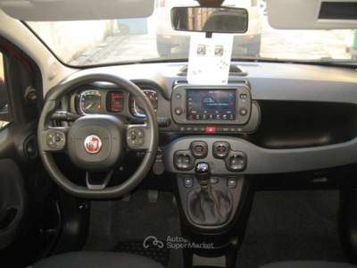 Fiat Panda CROSS 1.0 FIREFLY S-S HYBRID Rosso usata Albissola Marina