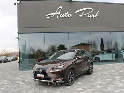 Lexus NX Hybrid Marrone usata Trebaseleghe