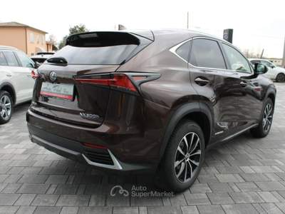 Lexus NX Hybrid Marrone usata Trebaseleghe