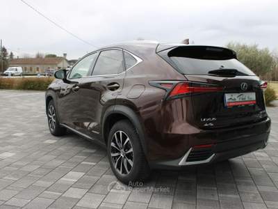 Lexus NX Hybrid Marrone usata Trebaseleghe