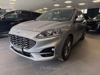 Ford Kuga 1.5 EcoBlue 120 CV aut. 2WD ST-Line Grigio usata ROVIGO