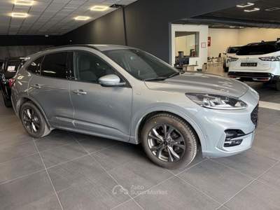 Ford Kuga 1.5 EcoBlue 120 CV aut. 2WD ST-Line Grigio usata ROVIGO