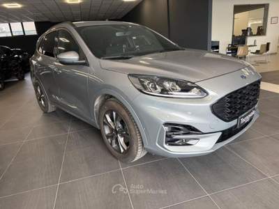 Ford Kuga 1.5 EcoBlue 120 CV aut. 2WD ST-Line Grigio usata ROVIGO