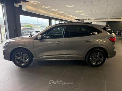 Ford Kuga 1.5 EcoBlue 120 CV aut. 2WD ST-Line Grigio usata ROVIGO