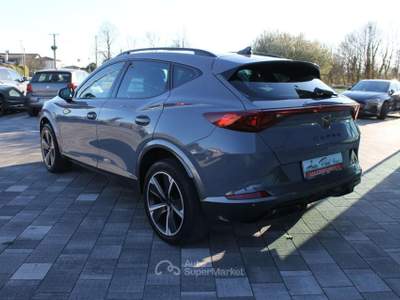 Cupra Formentor 2.0 TDI Grigio usata Trebaseleghe