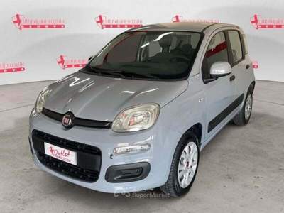 Fiat Panda 0.9 TwinAir Turbo Natural P. E6d-T Easy Grigio usata Genova