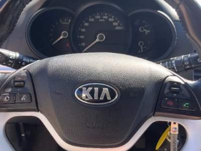 Kia Picanto 1.0 12V EcoGPL 5 porte Glam Bianco usata Novara