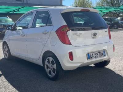 Kia Picanto 1.0 12V EcoGPL 5 porte Glam Bianco usata Novara