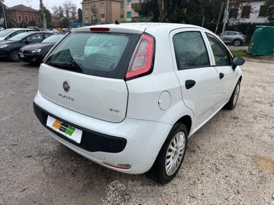 Fiat Punto Evo 1.3 Mjt 75 CV DPF  S&S Active Argento usata VENEZIA