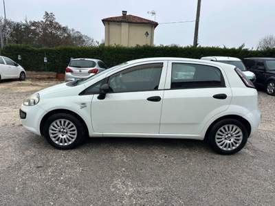 Fiat Punto Evo 1.3 Mjt 75 CV DPF  S&S Active Argento usata VENEZIA