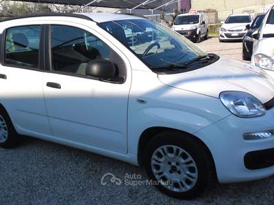 Fiat Panda ADATTA A NEOPATENTATI Bianco usata Puegnago sul Garda
