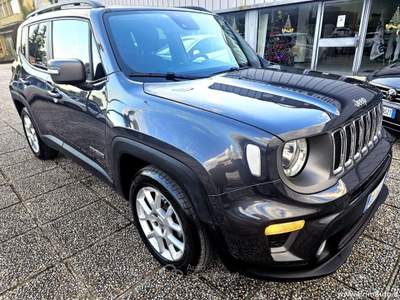 Jeep Renegade 1.6 Mjt 130 CV Limited Grigio usata Trevi