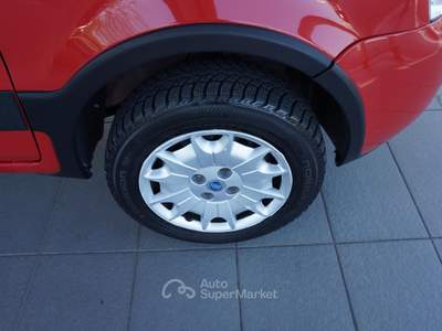 Fiat Panda 1.2 4x4 Rosso usata Pordenone