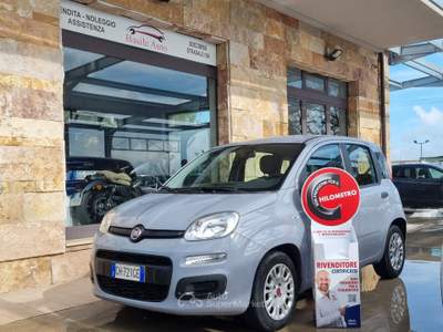Fiat Panda FireFly S&S Hybrid Grigio usata Altamura