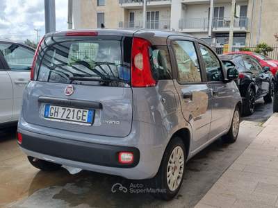 Fiat Panda FireFly S&S Hybrid Grigio usata Altamura