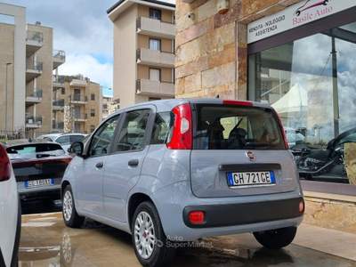 Fiat Panda FireFly S&S Hybrid Grigio usata Altamura