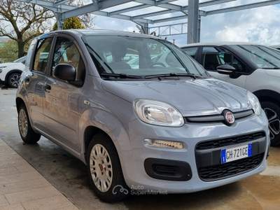 Fiat Panda FireFly S&S Hybrid Grigio usata Altamura